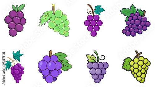 Set of various purple and green grape bunches vector illustrations