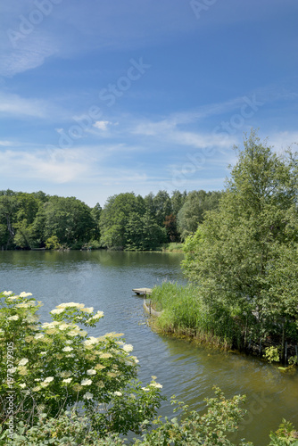 Lake Behler See close to Timmdorf,Holstein Switzerland Nature Park,Germany