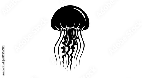 Black jellyfish with long tentacles swimming.