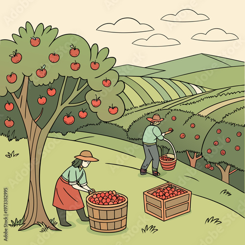 People picking apples from trees in an orchard