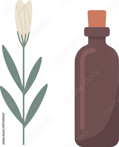 Herbal infusion bottle and white flower for natural remedy and aromatherapy purposes.