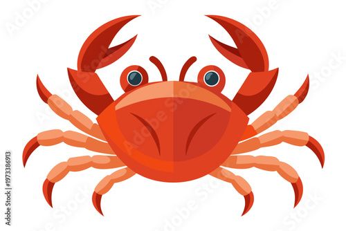 Red crab facing forward with raised claws on white background