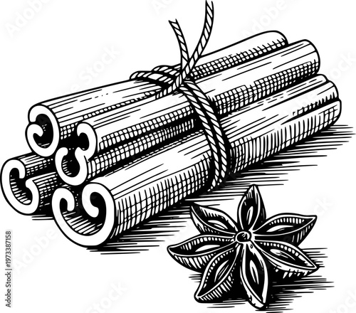 Hand Drawn of Cinnamon Sticks Tied with Twine and Star Anise Spice ingredient