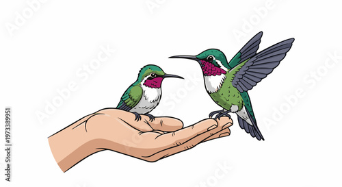 Two small hummingbirds, one perched on a hand, the other hovering nearby