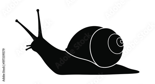 A striking black snail depiction showcasing its form in silhouette