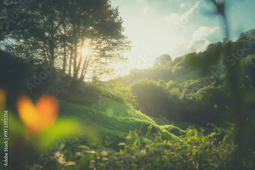 Sunlight through forest canopy a vibrant and ethereal natural scene