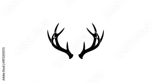 Fototapeta Black silhouette of deer antlers.