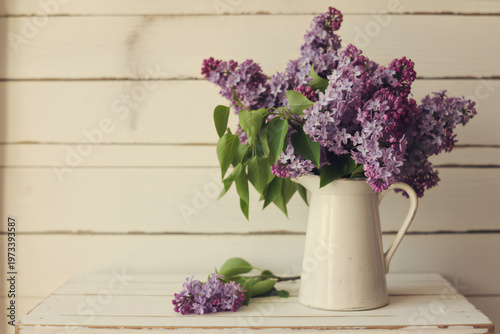 A delicate bouquet of purple hyacinths in a white pitcher