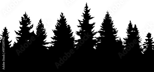 Pine Tree Forest Silhouette Vector Illustration Fir and Spruce Trees Panorama Graphic on White Background