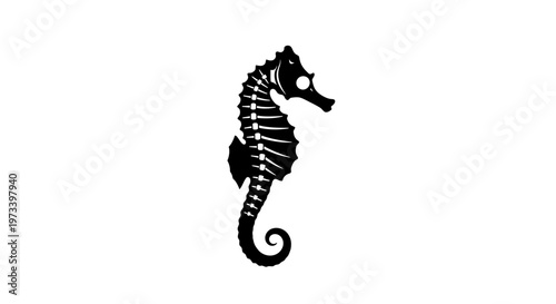 Black Seahorse Silhouette Ocean Animal.
