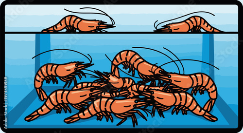 A group of bright orange shrimp swim in a blue aquarium