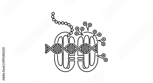 DNA Replication and Protein Synthesis: Molecular Biology Illustration