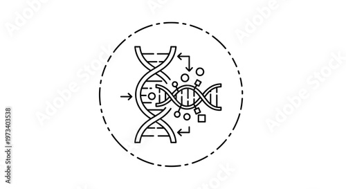 DNA structure modification, genetic engineering, molecular biology research, gene editing concept
