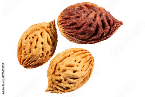 Peach pits isolated on a white background.