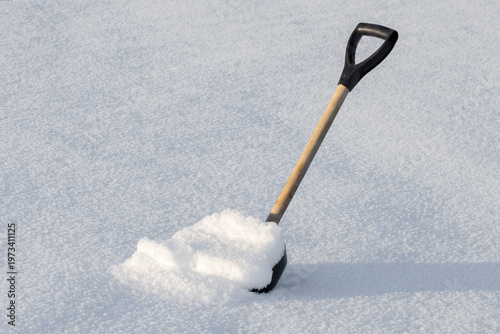 Shovel with snow in winter.
