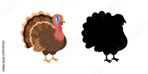 Cartoon turkey bird and black silhouette for kids logic educational task