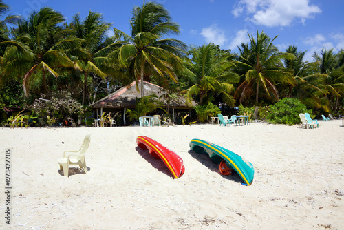 tropical beach with palm trees and tropical beach on pandan island, philippines