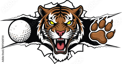 Aggressive Tiger Mascot Head Breaking Through Background with a Golf Ball and Paw Print Illustration for Sports Teams, Tournament Logos, and Athletic Apparel Design.