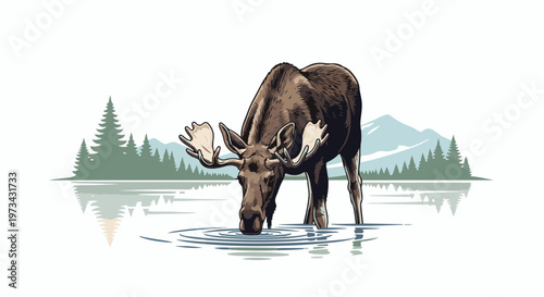 A large moose with wide antlers drinks from a calm lake, with pine trees and mountains in the background