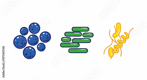 Three distinct groups of stylized biological representations blue spheres, green cylinders, and a yellow coiled structure