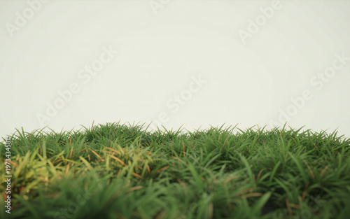 Lush green foliage and blossoms a vibrant garden scene