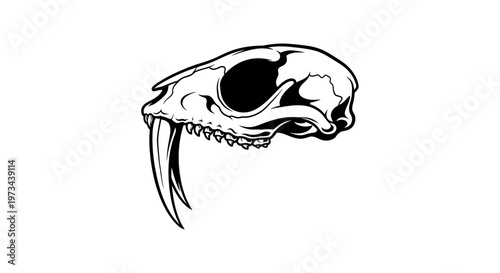 Sabre-toothed Cat Skull Illustration - Ancient Predator