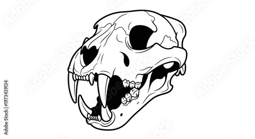 Jaguar Skull Illustration - Fierce Predator, Wild Animal, Bone Head