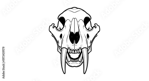 Sabre-Toothed Tiger Skull Illustration, Ancient Predator Head Outline