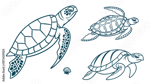 Sea turtles illustration set in line art style isolated on white background, marine animals collection for world turtle day design
