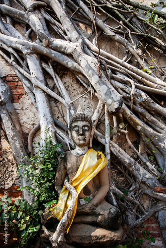Photography A famous stone Buddha head and torso naturally entwined within the growing roots of an ancient Bodhi tree