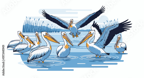 A flock of white pelicans gathers in blue water, with one flying above