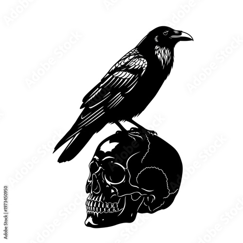 A black raven perched atop a human skull, symbolizing death, mystery, and the macabre.