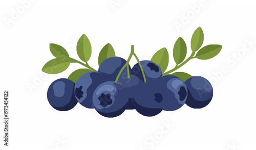 Title:
Ripe bilberry cluster with leaves flat vector illustration isolated on white background for healthy organic food design