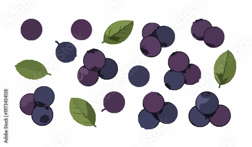 Title:
Hand drawn ripe bilberries with leaves botanical vector illustration isolated on white background for natural food themes