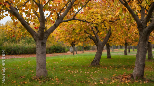 A fruit tree with colorful autumn leaves and remaining fruits warm tones seasonal atmosphere