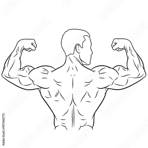 Line art bodybuilder isolated white background 