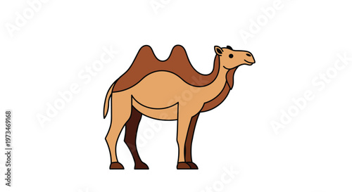 Stately dromedary camel with two humps stands proudly, showcasing its iconic desert adaptation, a symbol of endurance and arid landscapes.