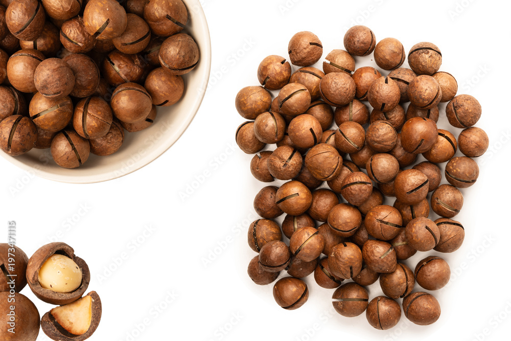 Fototapeta premium Macadamia nuts in a shell isolated on a white background.