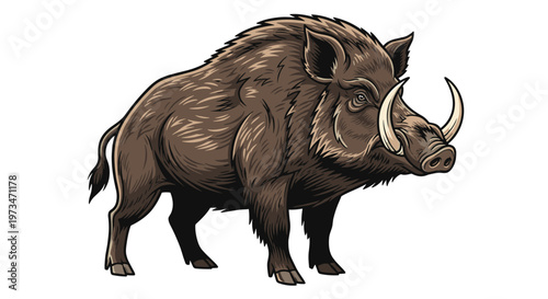 Fierce wild boar, a robust and powerful mammal, showcasing its tusks and hairy body, a formidable creature of forests and woodlands.