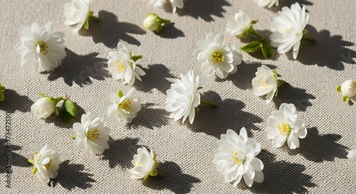White flowers scattered on a light surface with shadows.