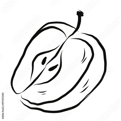 Minimal apple half line drawing showing seeds and fruit core. Healthy organic food illustration and fresh fruit concept. Vector hand drawn illustration.