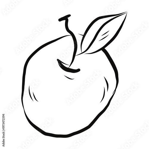 Minimal apple fruit line drawing with leaf and stem symbolizing fresh harvest, organic farming and healthy natural food. Vector hand drawn illustration.