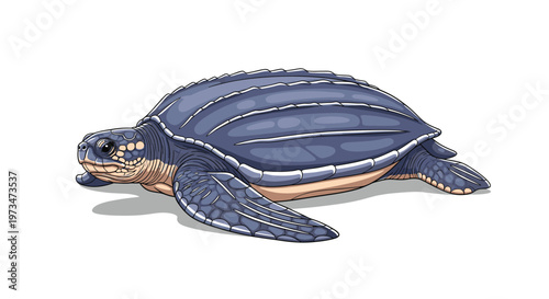 Impressive leatherback sea turtle, a colossal marine reptile, featuring its unique ridged carapace and powerful flippers for ocean navigation.