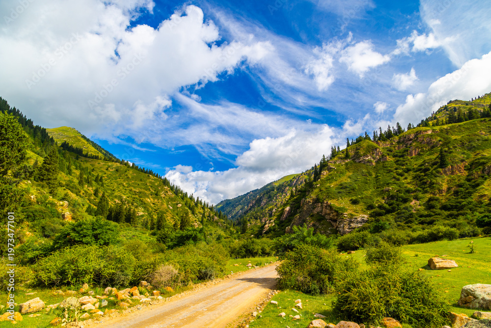 Fototapeta premium Serene mountain valley features a winding dirt road surrounded by trees and rocks. Vibrant clouds drift across the sky, enhancing the adventurous atmosphere.