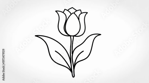 A single minimalist black line drawing of a plant stem or organic curve against a solid white background, depicting a simple botanical outline in a hand-drawn artistic style.
