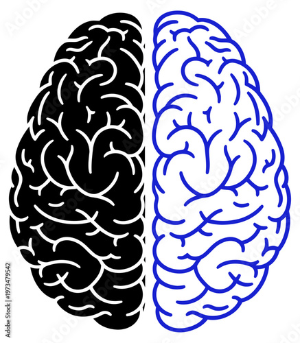 Black and white brain illustration with contrasting hemispheres