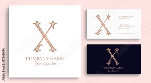 Elegant letter X logo monogram in decorative classic style with refined details. Versatile logotype for personal branding, business identity and premium design.
