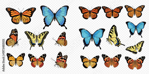 Collection of various colorful butterflies with detailed wings, isolated on a transparent background, showcasing different species and poses.