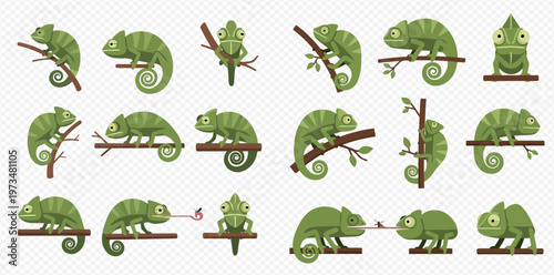 Set of cartoon chameleons in various poses, green lizards on branches, with long tongues, isolated on a transparent background.