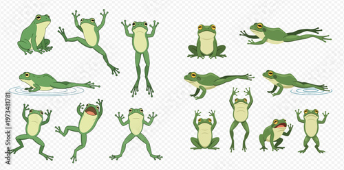 Set of cartoon green frogs in various poses: sitting, jumping, swimming, and standing, isolated on a transparent background.